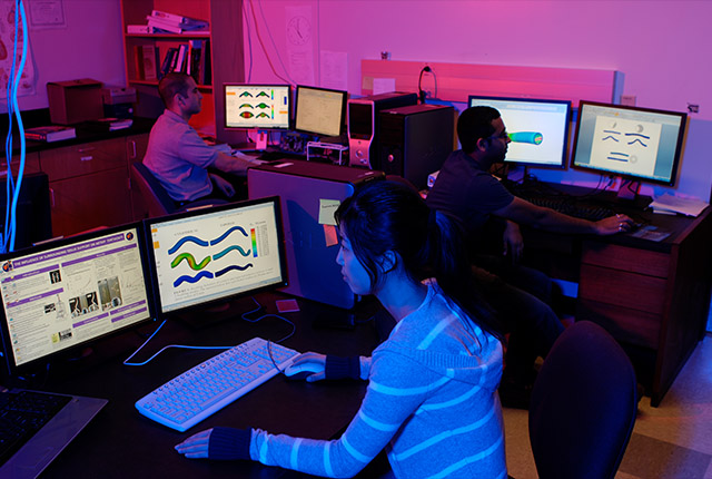 Students in a research lab looking at biomedical research on their computer stations