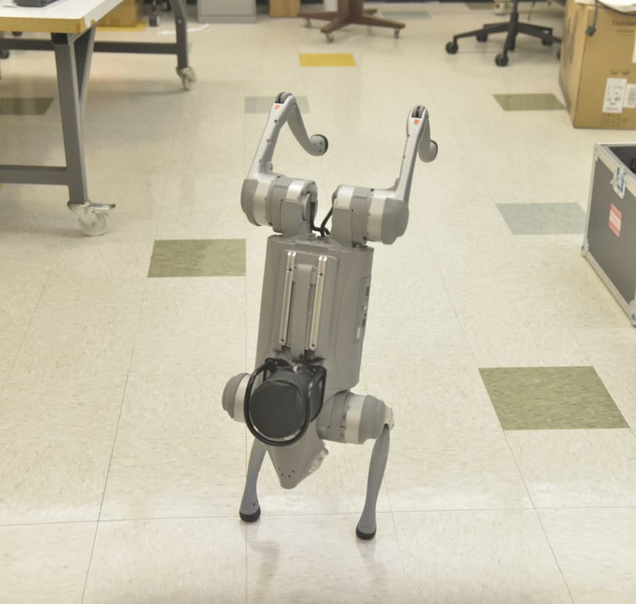 Robotic Dog