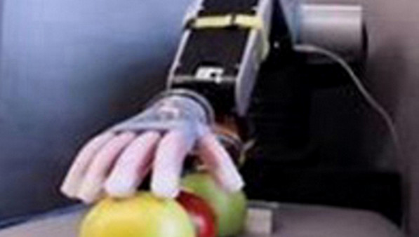 Soft Robotics Industry 4.0/5.0 alt