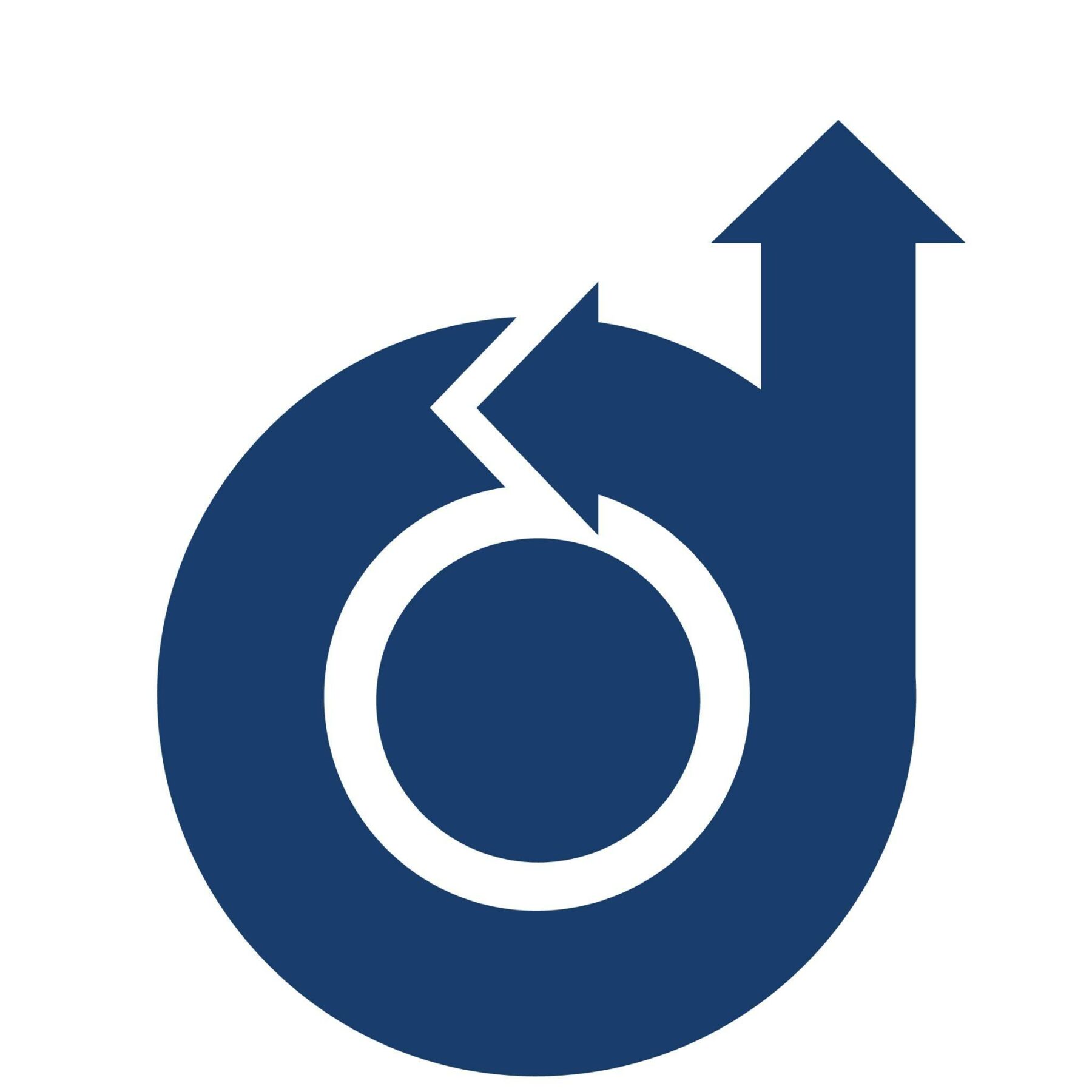 American Institute of Aeronautics/Astronautics (AIAA)